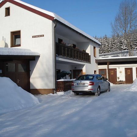 Appartement Haus Steinwaldblick à Bernlohe  Extérieur photo