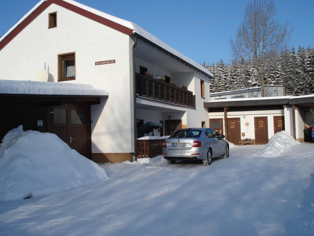 Appartement Haus Steinwaldblick à Bernlohe  Extérieur photo